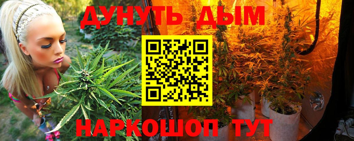 Бошки Шишки планчик Магнитогорск